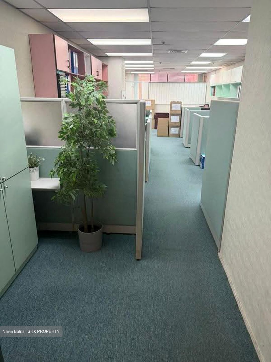 International Plaza (D2), Office #612796531